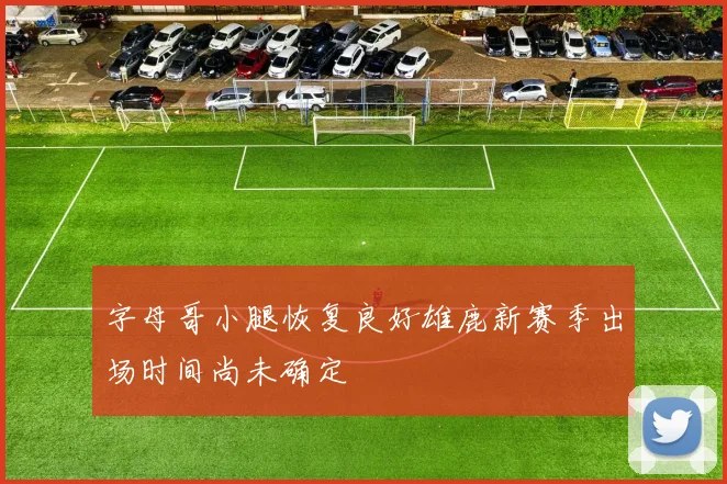 字母哥小腿恢复良好雄鹿新赛季出场时间尚未确定
