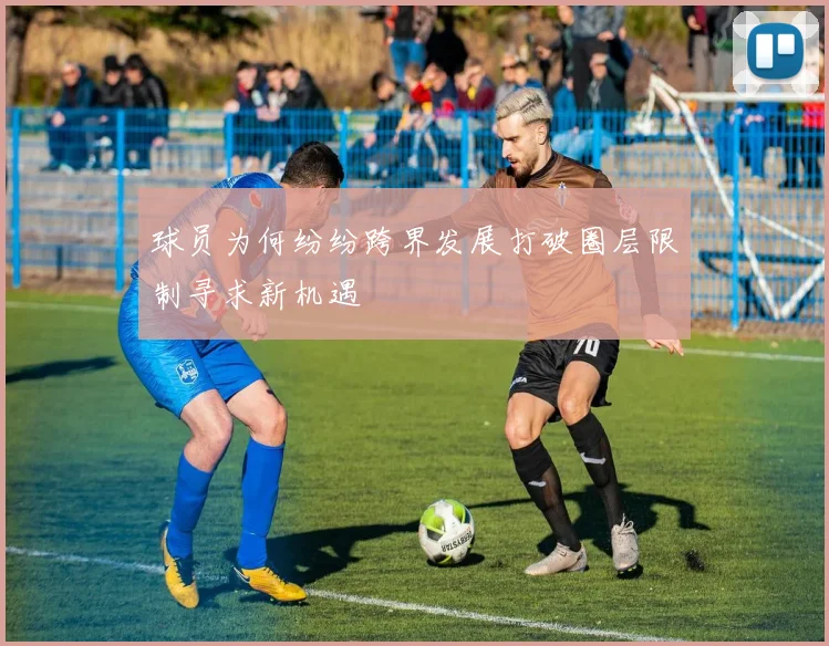 球员为何纷纷跨界发展打破圈层限制寻求新机遇