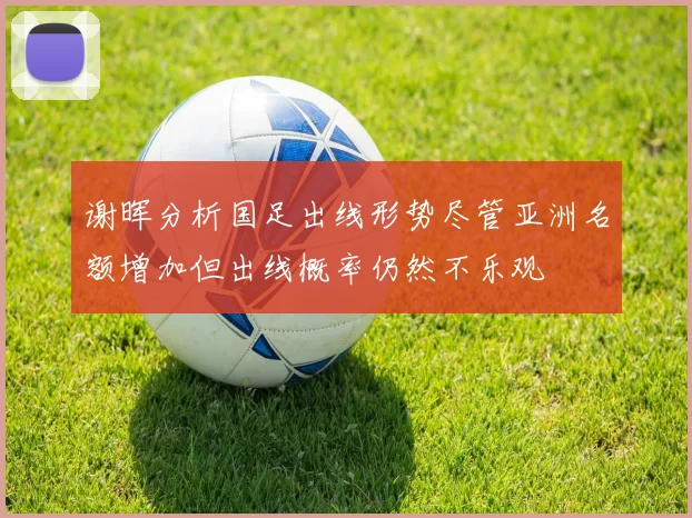 谢晖分析国足出线形势尽管亚洲名额增加但出线概率仍然不乐观